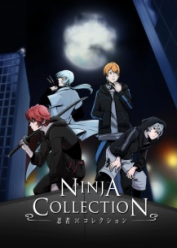 Image Ninja Collection
